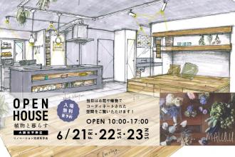 【ハコリノベ北堀江】～植物と暮らす～リノベーション完成見学会＠大阪市平野区