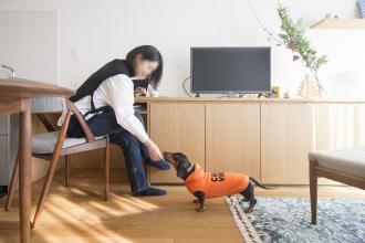 愛犬とのんびり暮らす、木のぬくもりと季節の移ろいを感じるお家